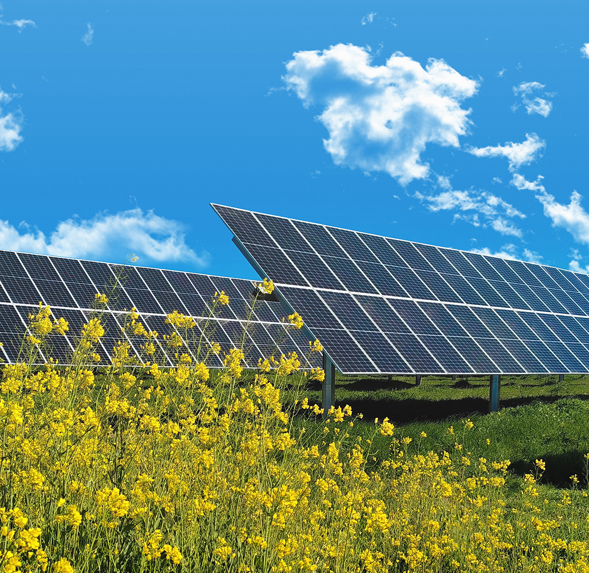 Planta fotovoltaica integrada en el entorno paisajístico