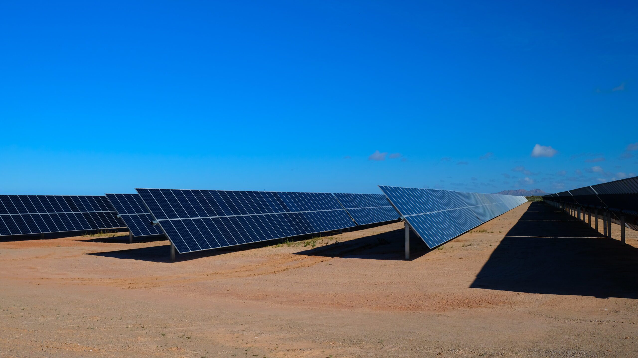 Placas solares sobre seguidores solares en un proyecto de energía solar fotovoltaica